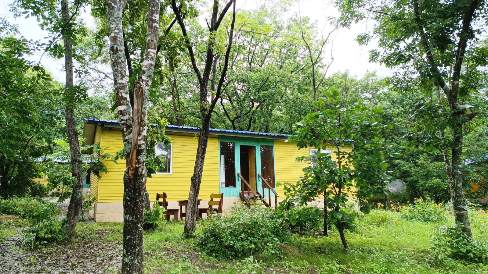 Галерея партнёра