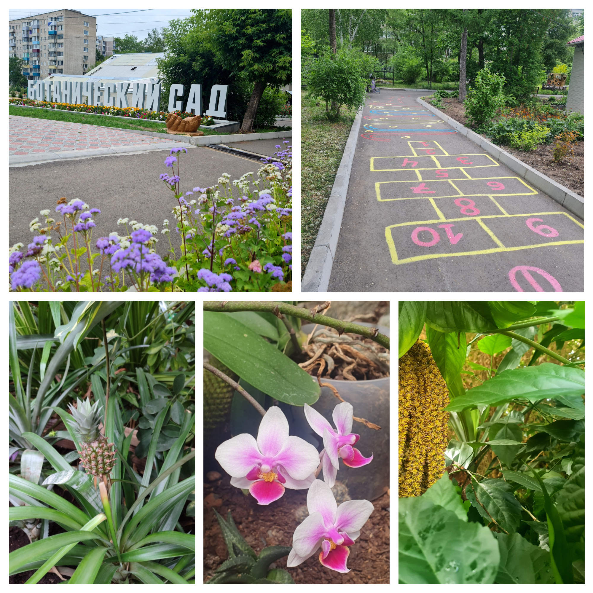 Галерея партнёра