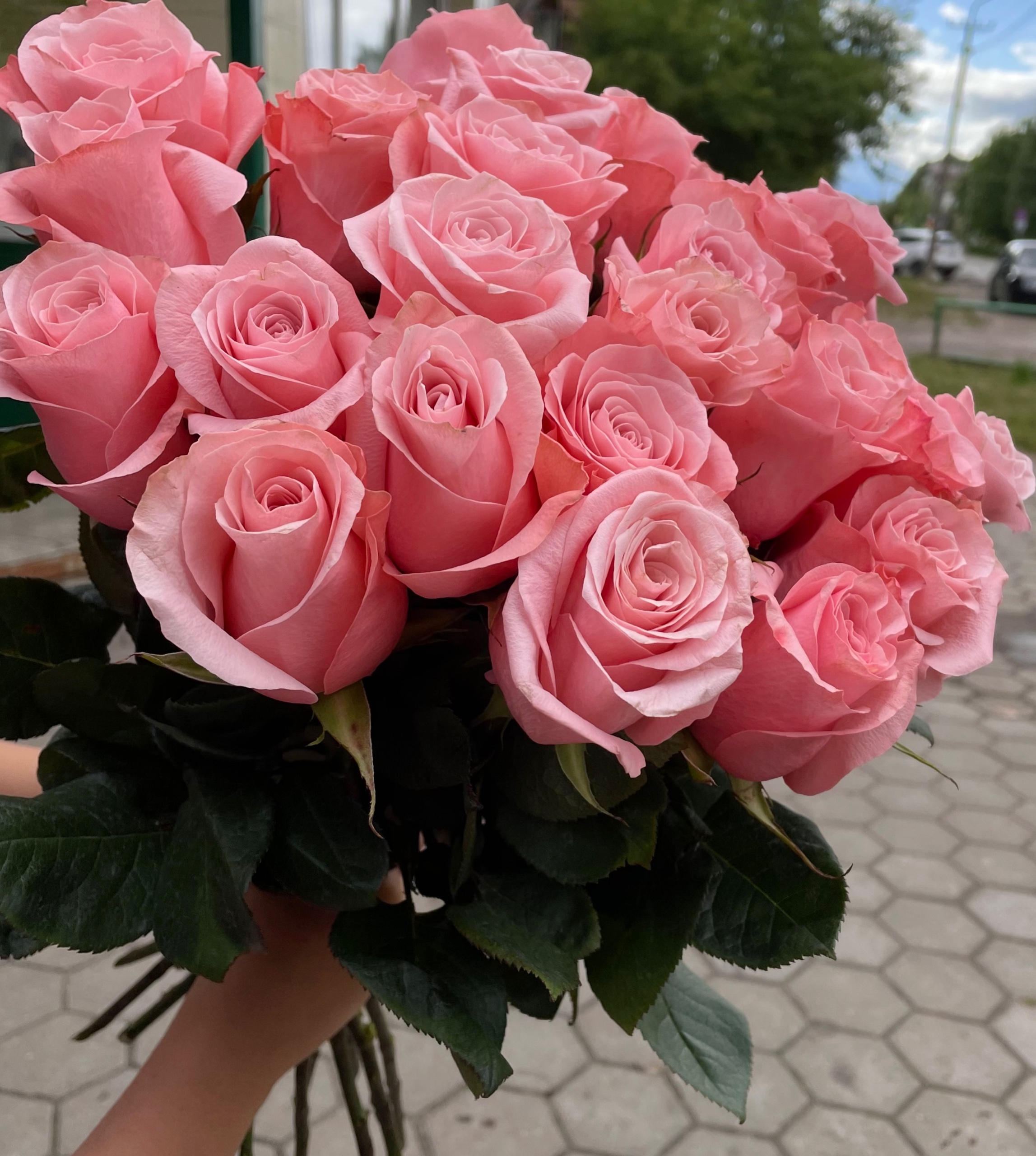Галерея партнёра